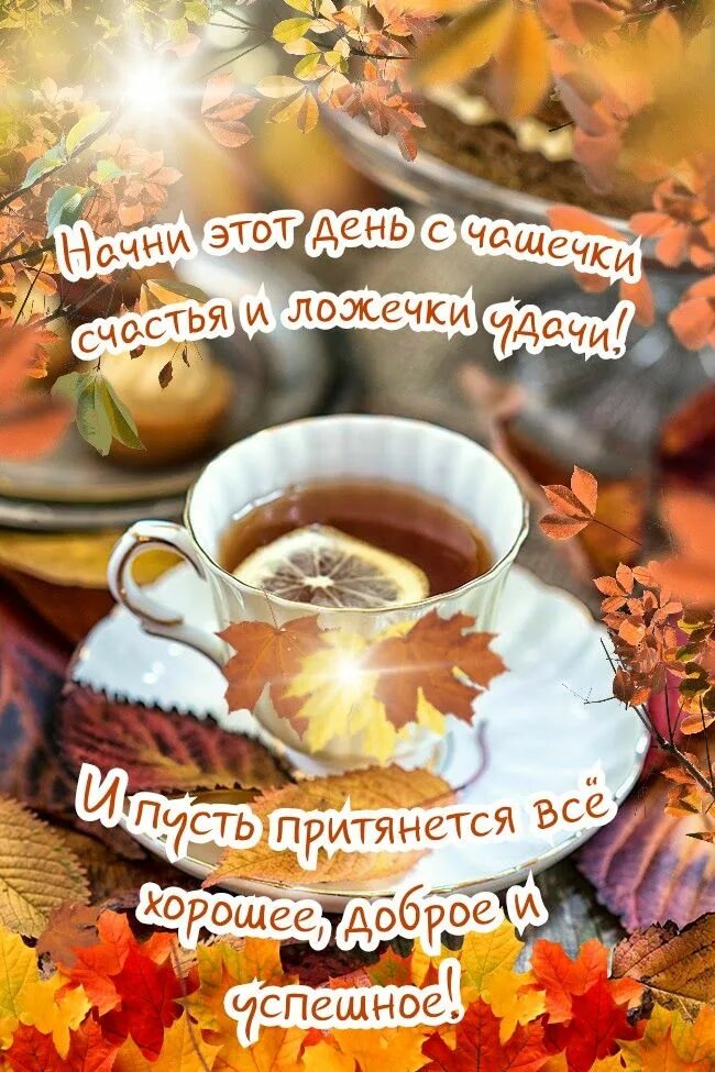 Картинка с добрым утром начало осени Pin on Доброе утро