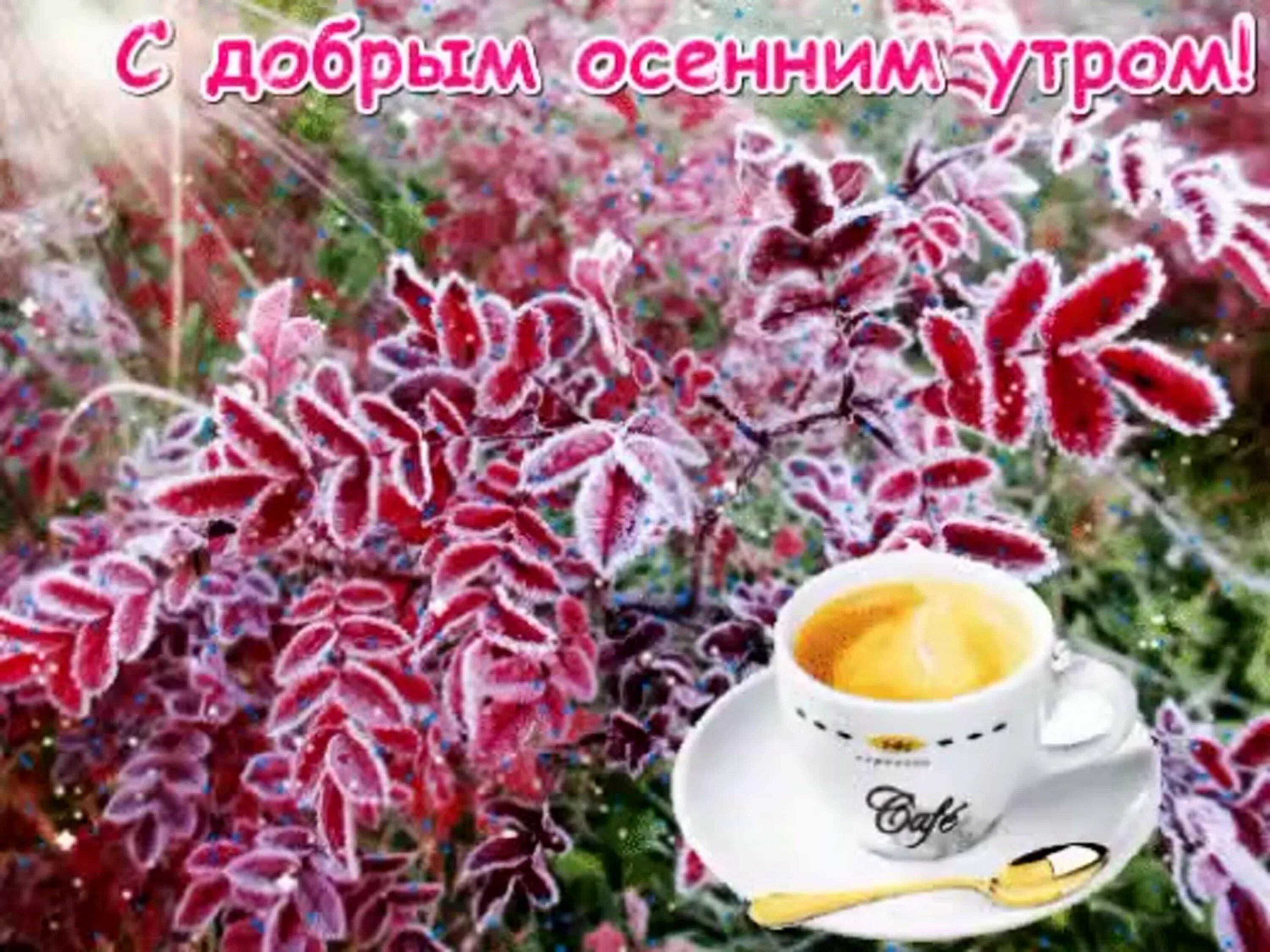 Картинка с добрым утром осенняя новинка Доброе православное осеннее утро - 77 фото