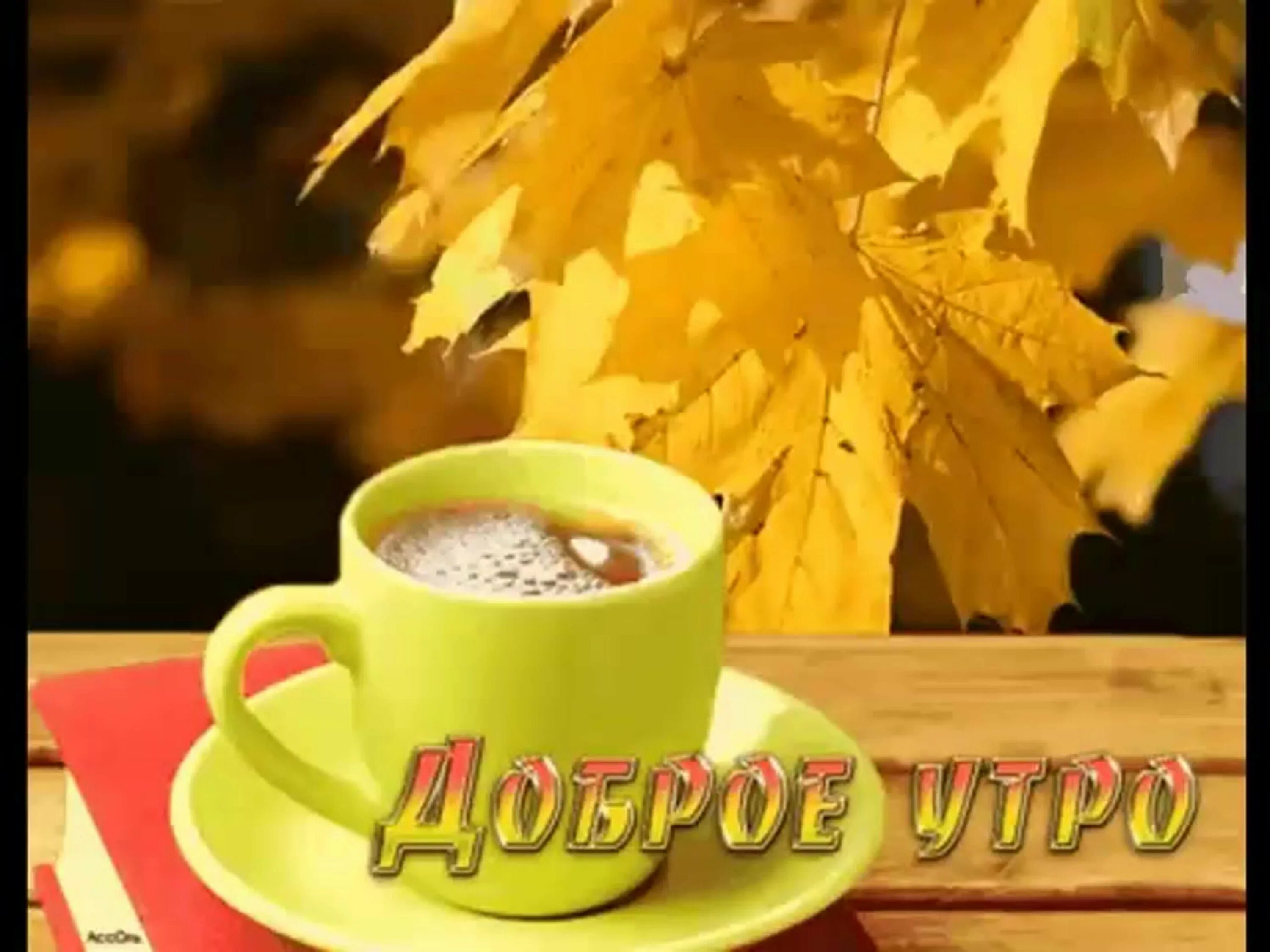 Картинка с добрым утром осенняя новинка С осенним понедельником - 72 фото