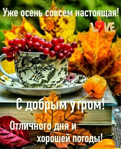 Картинка с добрым утром осенняя новинка Открытка Уже осень совсем настоящая! С добрым утром! Отличного дня и хорошей пог