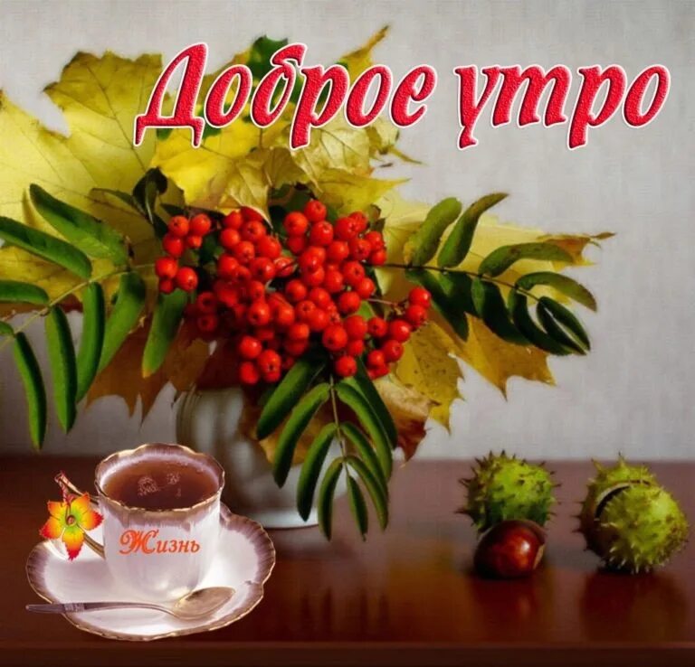 Картинка с добрым утром осенняя новинка Утро разбудит тебя осторожно, День предстоит впереди. Я пожелаю тебе все, что мо