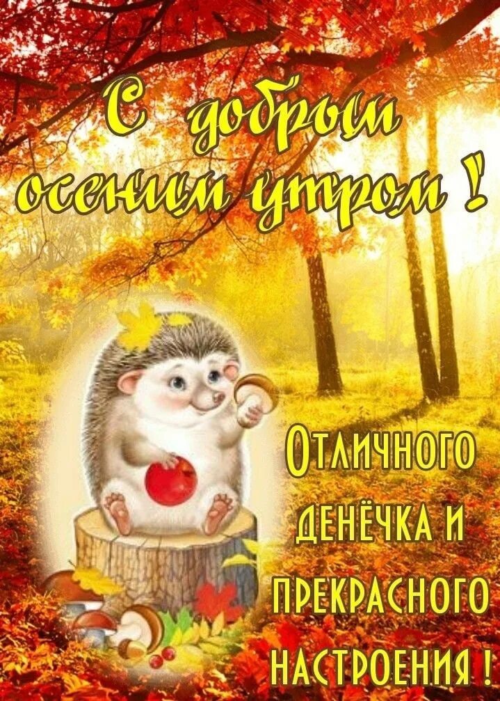 Картинка с добрым утром осенняя прикольная новая С добрым утром октября! Пусть будет тепло, уютно и радостно! Вставай бодро, заря