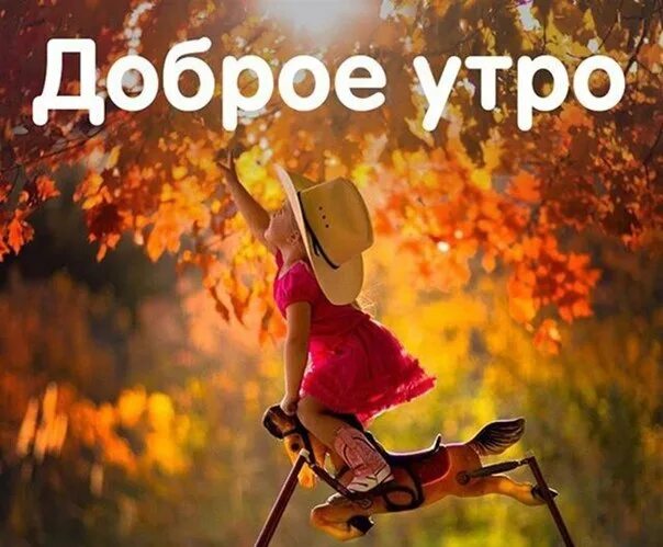 Картинка с добрым утром осенняя прикольная новая С добрым утречком осенним прикольные картинки надписями: найдено 85 изображений