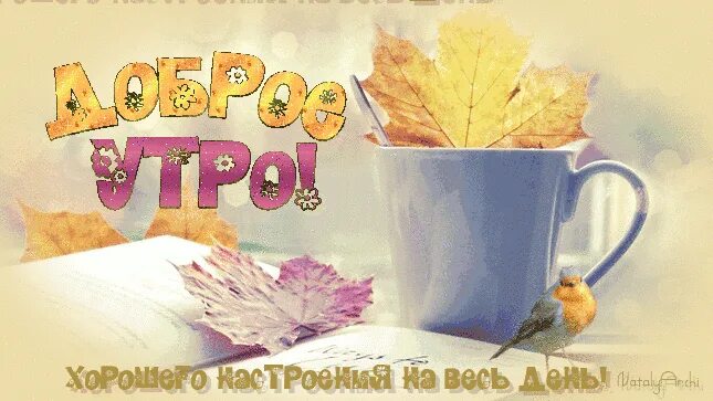 Картинка с добрым утром осенняя прикольная новая Доброе осеннее утро ! Tableware, Glassware, Mugs