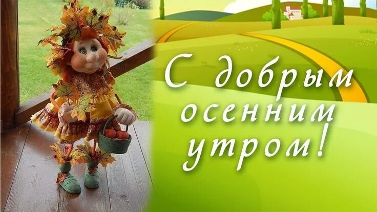 Картинка с добрым утром осенняя прикольная новая С добрым, осенним утром! Открытки, Осень, Картинки