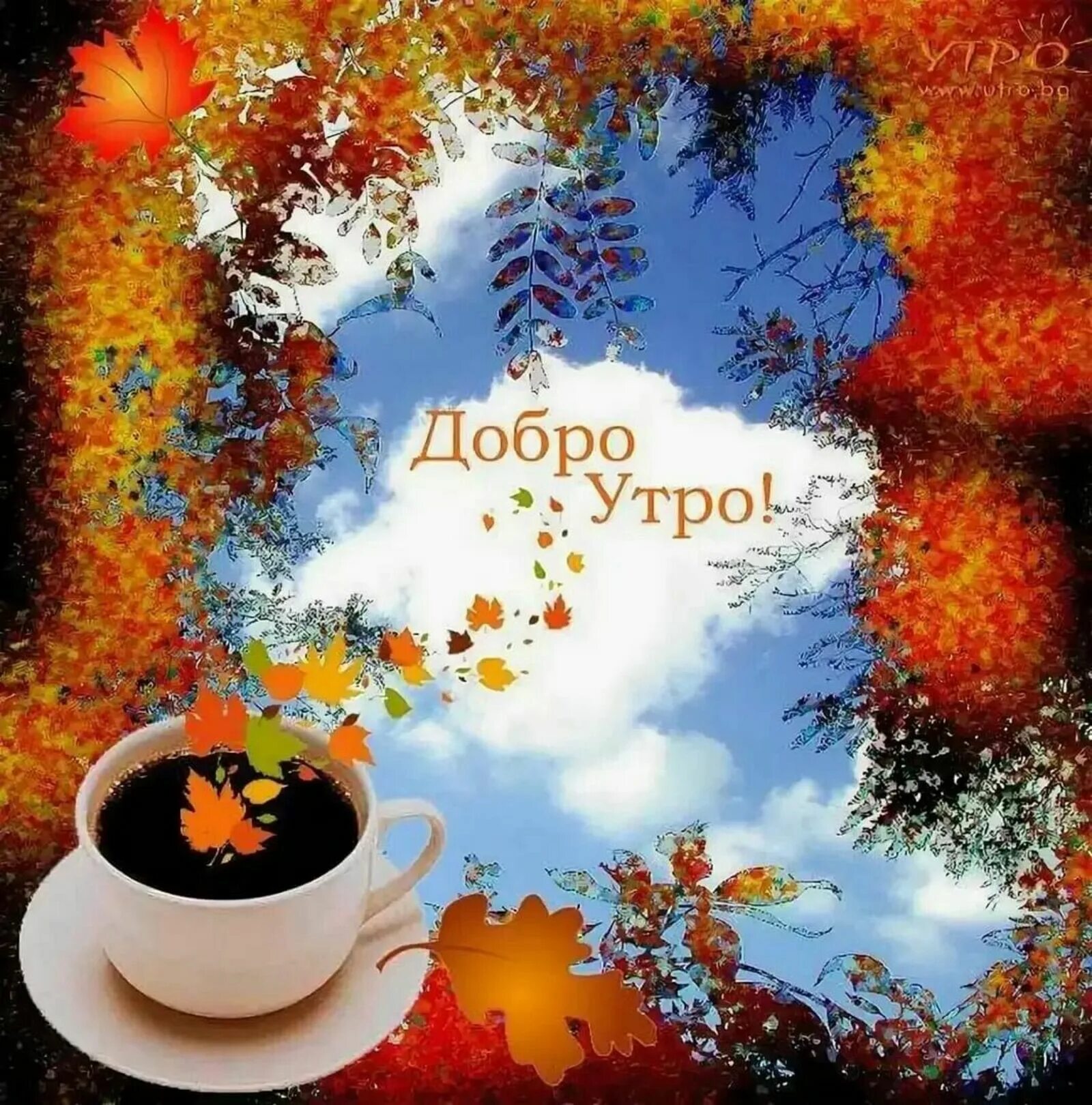 Картинка с добрым утром осенняя прикольная новая Доброе утро!