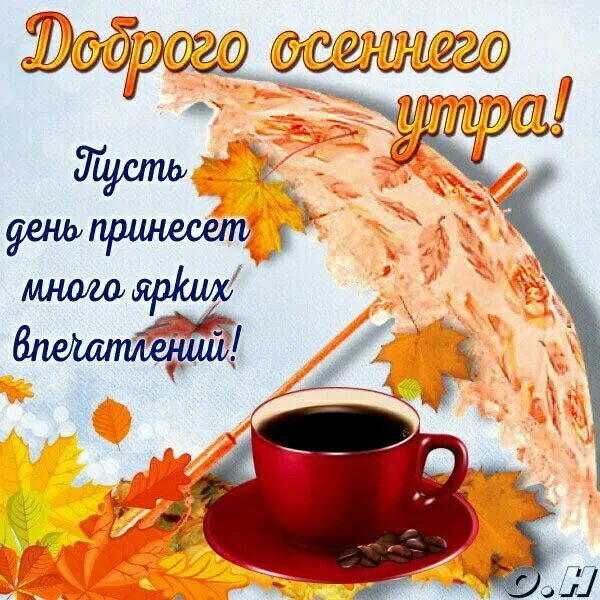 Картинка с добрым утром осенняя прикольная новая Pin by Леди Ди on доброе утро)) Autumn coffee, Botanical, Montreal botanical gar