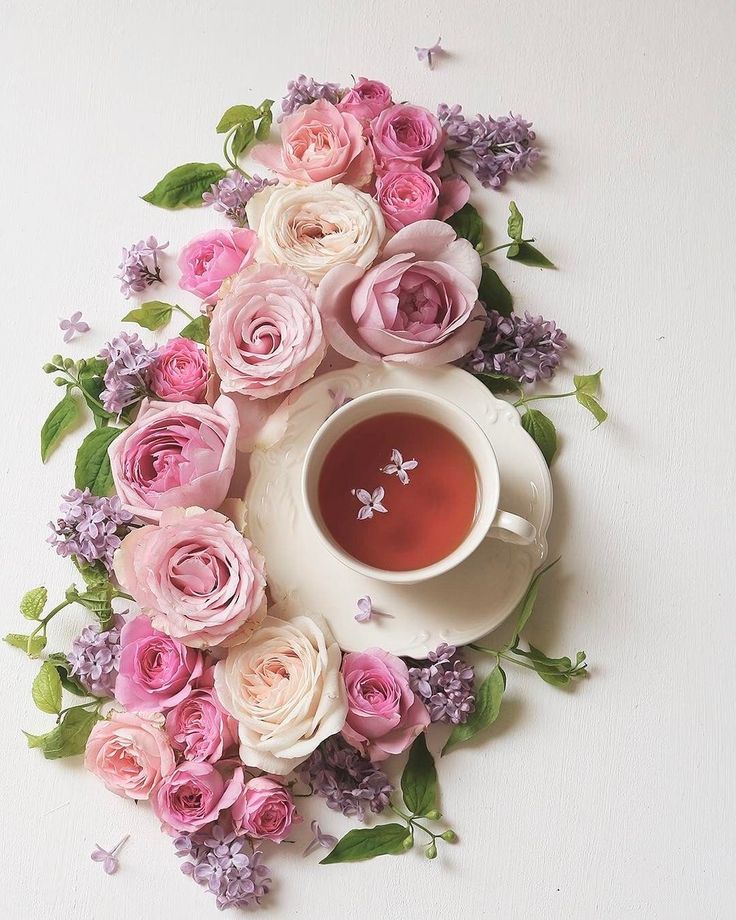Картинка с добрым утром пинтерест Pin by Just Dreamin' on tea infusion Flower tea, Coffee love, Rose tea