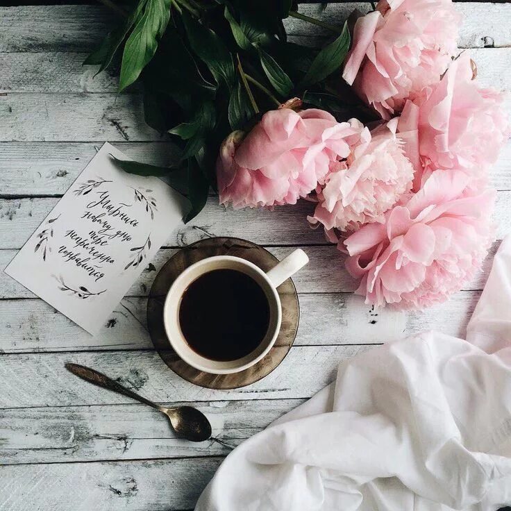 Картинка с добрым утром пинтерест Possible branding color scheme Coffee photography, Flowers photography, Coffee l
