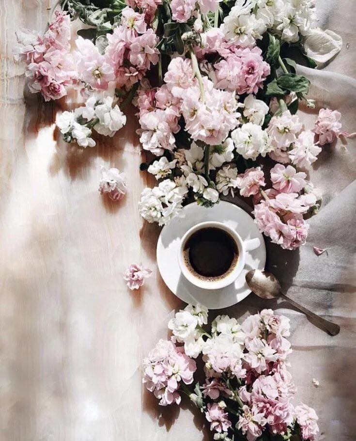 Картинка с добрым утром пинтерест Photo coffe ☕ ☕ panosundaki Pin, 2024 Çiçek, Fotoğraf, Resim