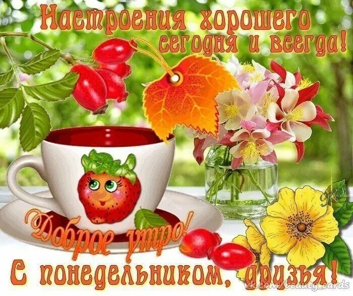 Картинка с добрым утром понедельника прикольная осенняя ЗРЕЮТ В АВГУСТЕ АРБУЗЫ, БУДУТ В ПУЗАХ КАРАПУЗЫ!!! - Страница 29 - Планируем и бо