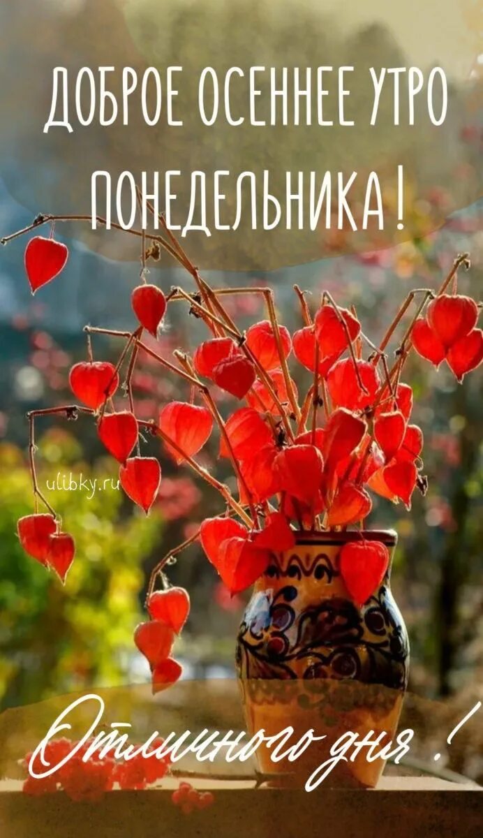 Картинка с добрым утром понедельника прикольная осенняя Пин на доске Осень ( Hösten ) Праздничные открытки, Утро понедельника, Осень