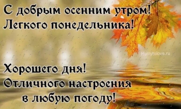Картинка с добрым утром понедельника прикольная осенняя Доброе утро! С началом новой недели, сегодня у вас есть новые начинания и новые 