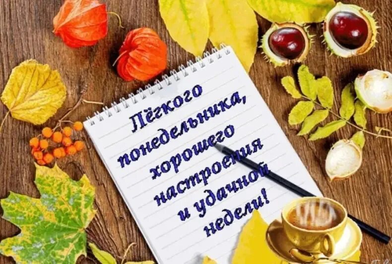 Картинка с добрым утром понедельника прикольная осенняя Доброе утро новой недели! Пусть отступят все невзгоды, спрячутся заботы, убегут 