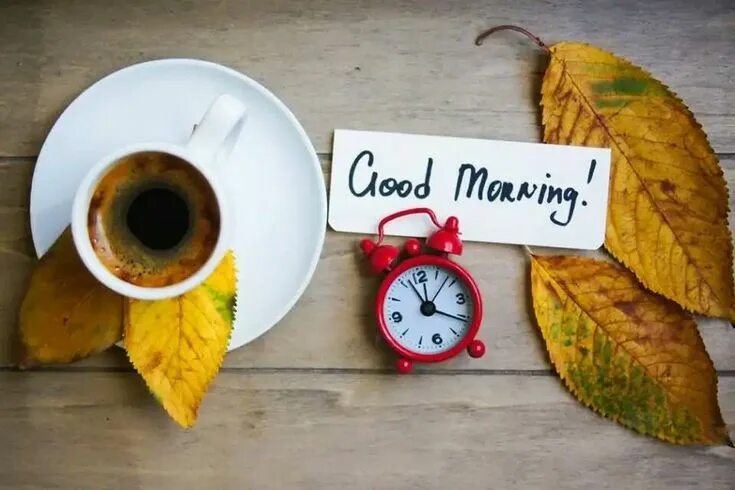 Картинка с добрым утром понедельника прикольная осенняя Pin by georgia simn on 5 Good Morning and Coffee Good morning quotes, Good morni