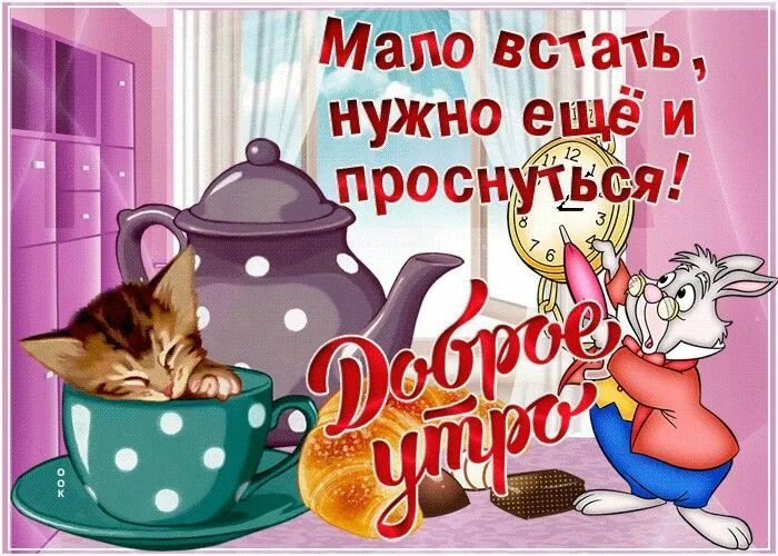 Картинка с добрым утром пожелания прикол Пин от пользователя Krivenoktatana на доске Доброе утро! Доброе утро, Открытки, 