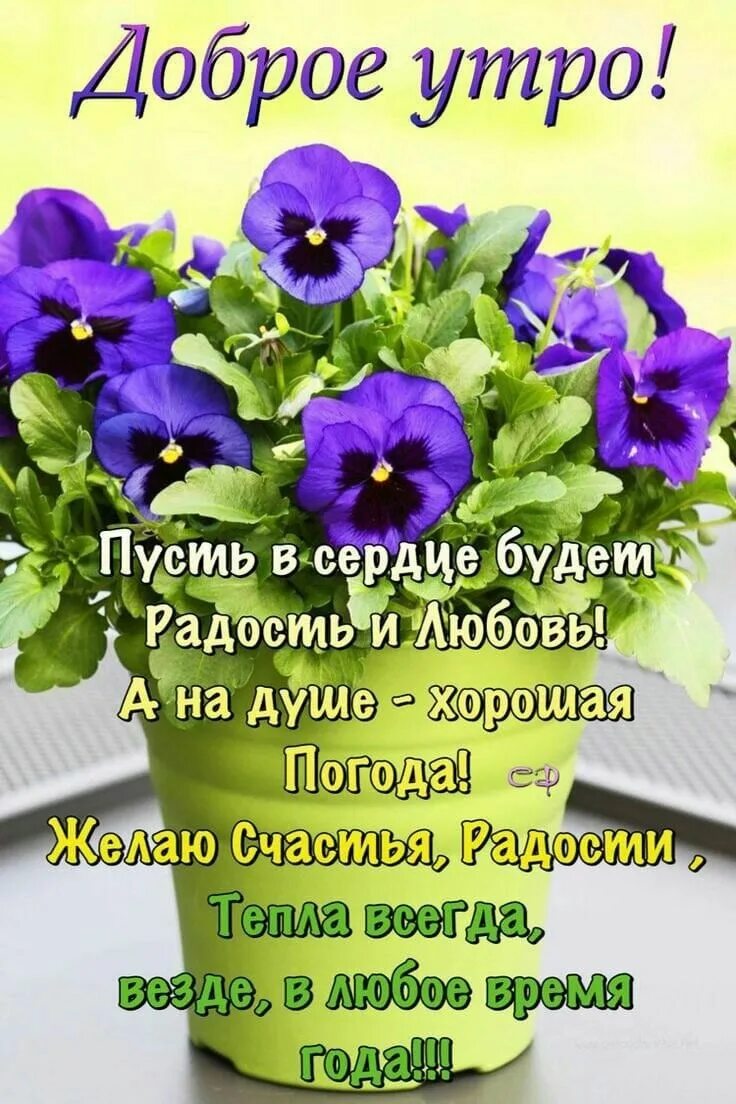 Картинка с добрым утром пожеланиями добрыми божьими Пин на доске Поздравления Доброе утро, Утренние цитаты, Фотография цитаты
