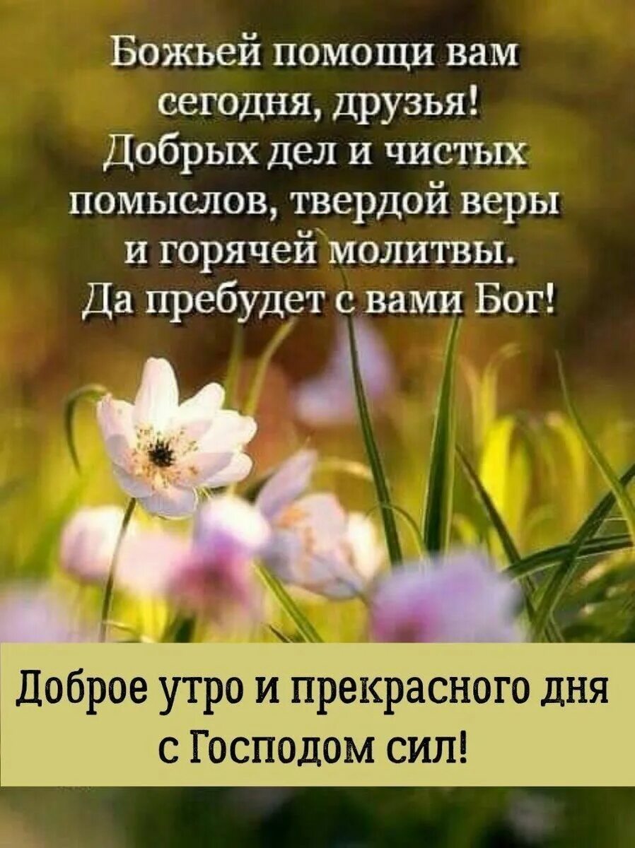Картинка с добрым утром пожеланиями добрыми божьими Пин на доске Милые открытки