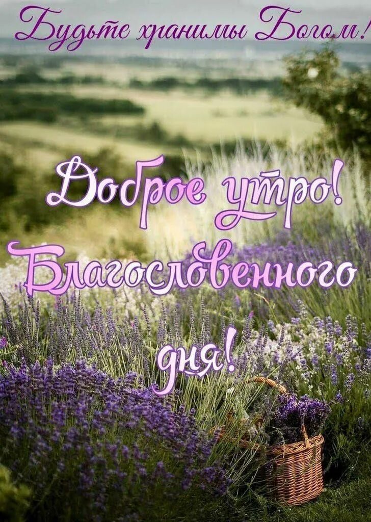 Картинка с добрым утром пожеланиями добрыми божьими Доброе утро panosundaki Pin Fotoğrafçılık