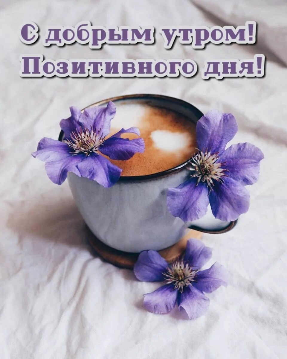 Картинка с добрым утром позитивного дня Pin by Ольга Ти on Доброе утро, хорошего дня!