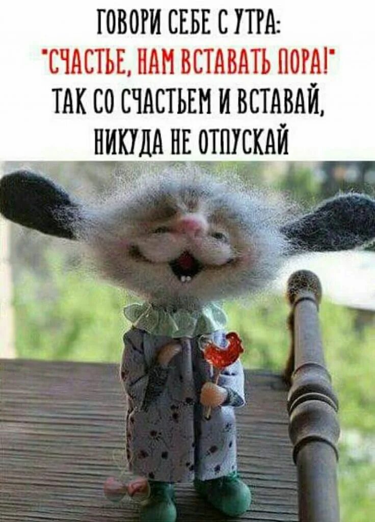 Картинка с добрым утром прикольные позитивные женщине С добрым утречком! шуточные картинки - Прикольные картинки про утро с юмором - У