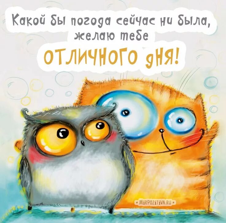 Картинка с добрым утром прикольные позитивные женщине Сова: фото и картинки Original card, Good morning, Good morning happy