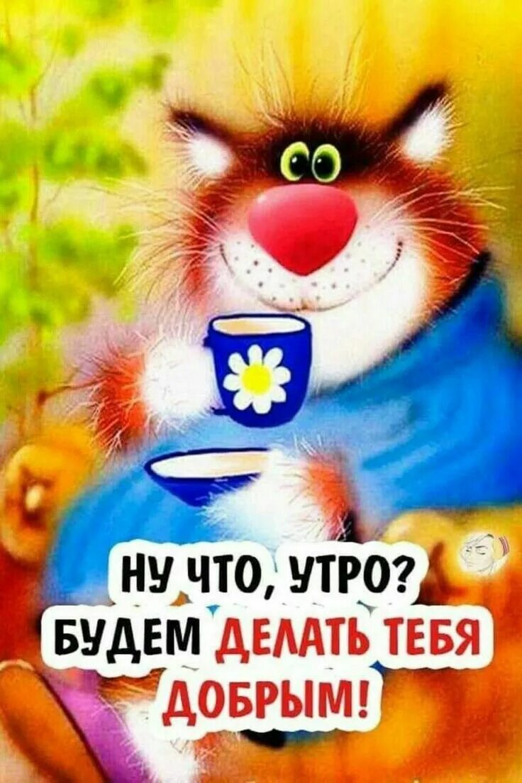 Картинка с добрым утром прикольные позитивные женщине Пин на доске Здравствуйте Доброе утро, Веселые картинки, Смешные открытки