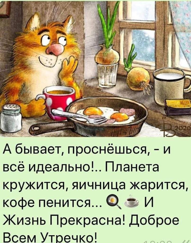 Картинка с добрым утром прикольные позитивные женщине Pin by Зинаида Бабенко on Доброе утро Good morning cards, Good morning images, G