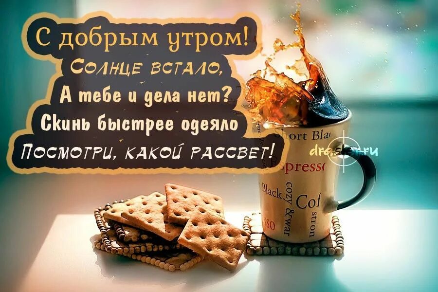 Картинка с добрым утром с прикольными словами Пин на доске выходные Утренние сообщения, Сообщения, Ночь