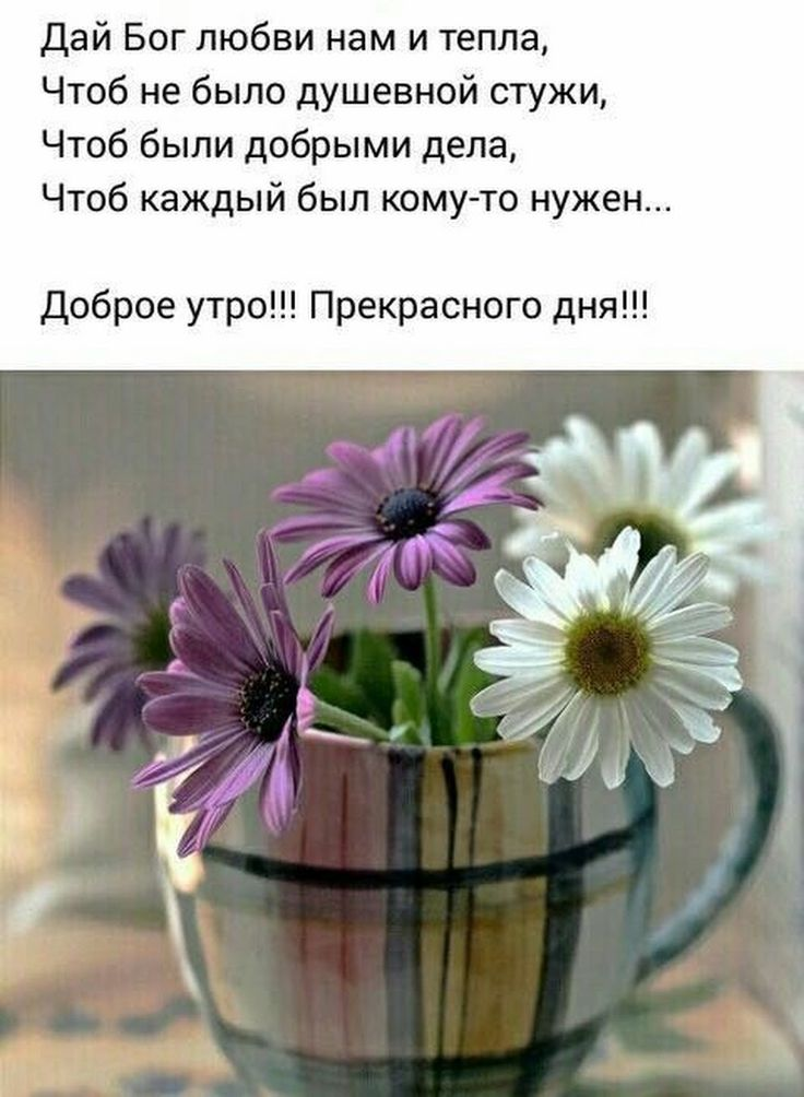 Картинка с добрым утром со смыслом красивая ИМПЕРИЯ ЛЮБВИ Доброе утро, Воскресный утренний кофе, Сестра стихи