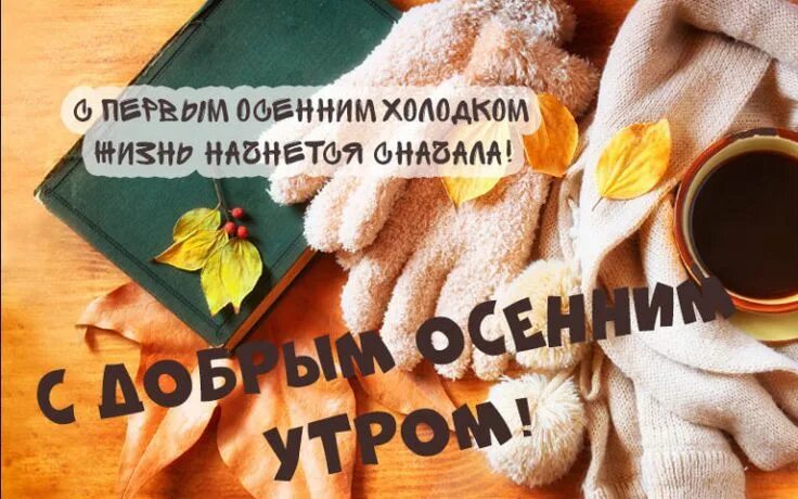 Картинка с добрым утром вторника осенняя прикольная Осенние картинки с добрым утром - красивые открытки с пожеланиями Осенние картин