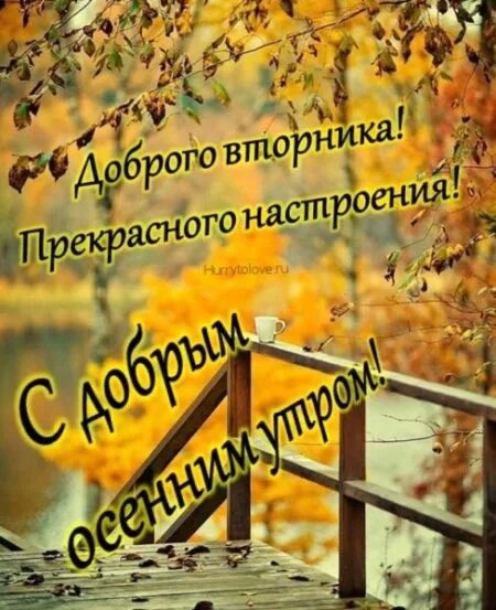 Картинка с добрым утром вторника осенняя прикольная С ДОБРЫМ ОСЕННИМ УТРОМ! ПУСТЬ В ЭТОТ ДЕНЬ ЗАБУДУТСЯ ПЕЧАЛИ, И СОЛНЦЕ УЛЫБНЕТСЯ П