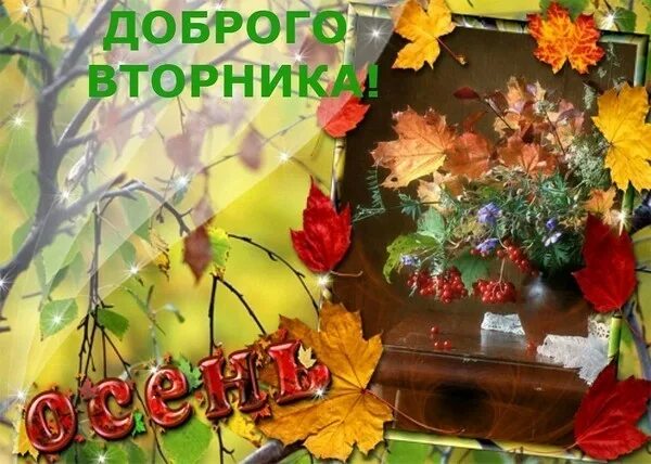 Картинка с добрым утром вторника осенняя прикольная ЗАВТРА БУДЕТ НОВЫЙ ДЕНЬ... 23 НОЯБРЯ - Просто ДОБРОЕ УТРО , пользователь Галина 