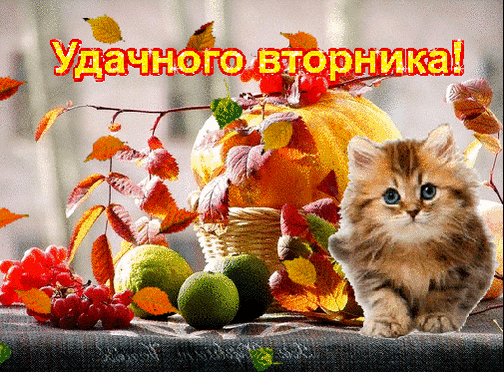 Картинка с добрым утром вторника осенняя прикольная Анимированная открытка Удачного вторника!