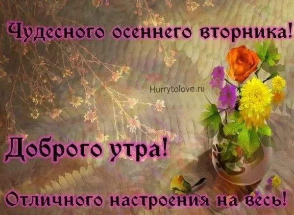Картинка с добрым утром вторника осенняя прикольная Good morning ! 2022 ВОЗЬМЁМСЯ за РУКИ,ДРУЗЬЯ VK