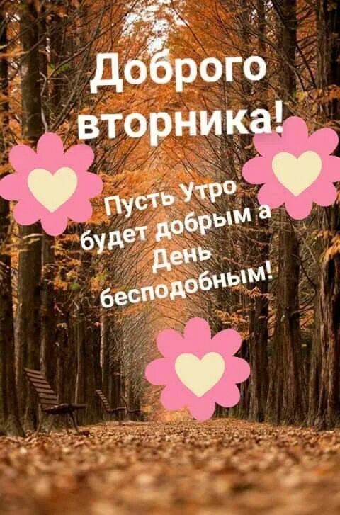 Картинка с добрым утром вторника осенняя прикольная Пин от пользователя Kira Lanak на доске Дни недели_Доброе утро Забавные картинки