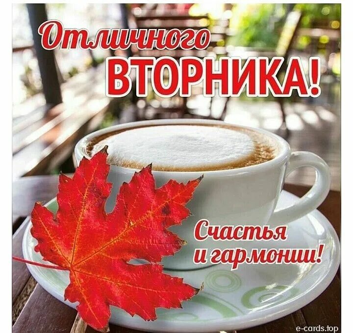 Картинка с добрым утром вторника осенняя прикольная Pin auf доброе осеннее утро