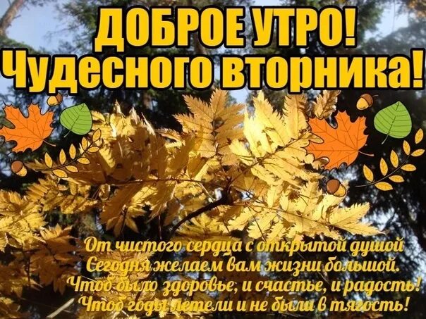 Картинка с добрым утром вторника осенняя прикольная С добрым утром, Петербург! 2023 Это Питер, детка! Типичный Питер ВКонтакте