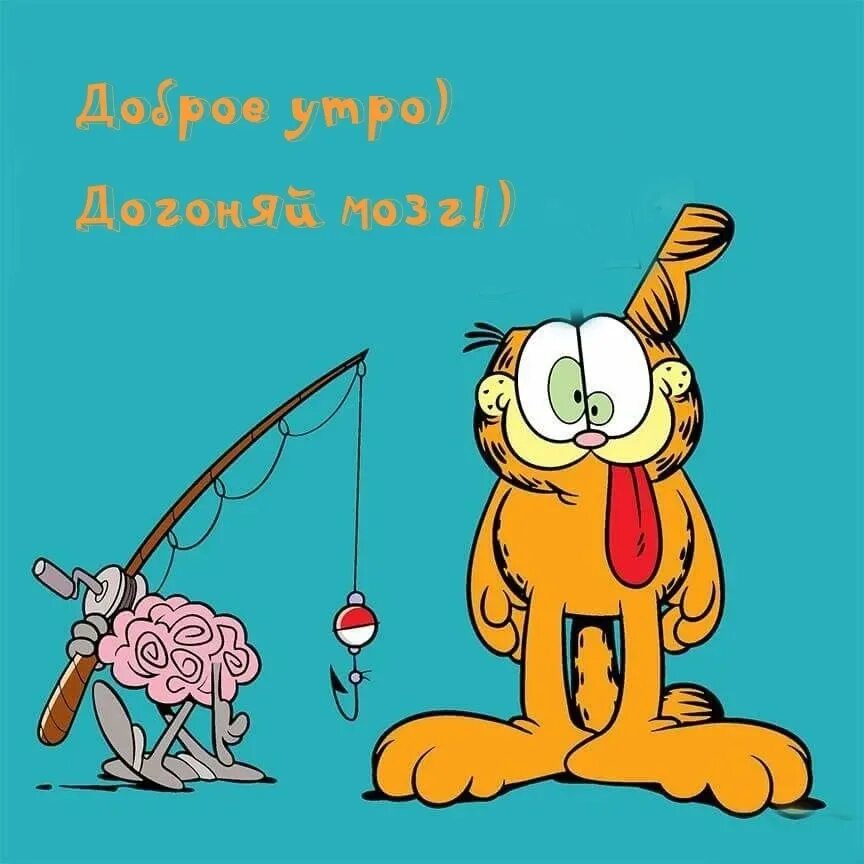 Картинка с добрым утром юморная прикольная мужчине #JUst_Утро 2023 JUST FEO ФЕОДОСИЯ КРЫМ VK