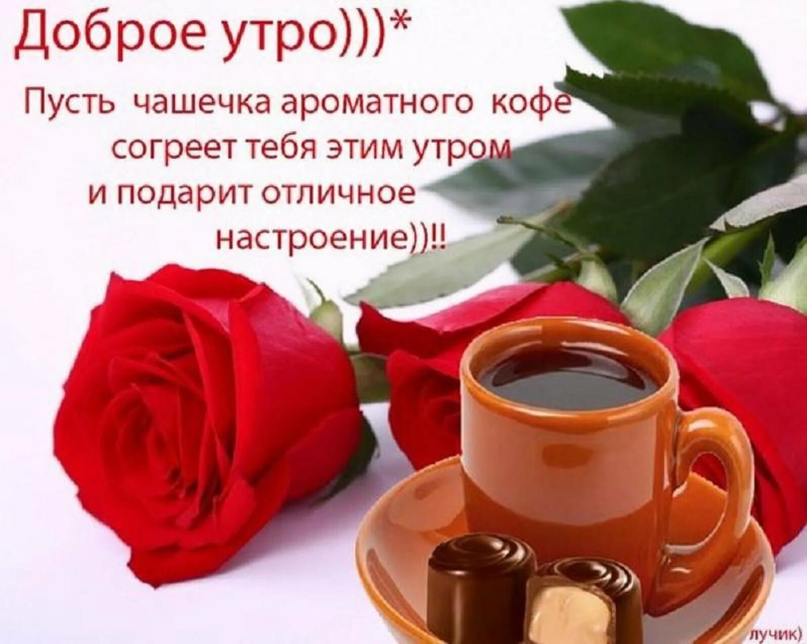 Картинка с добрым утром женщине chemy