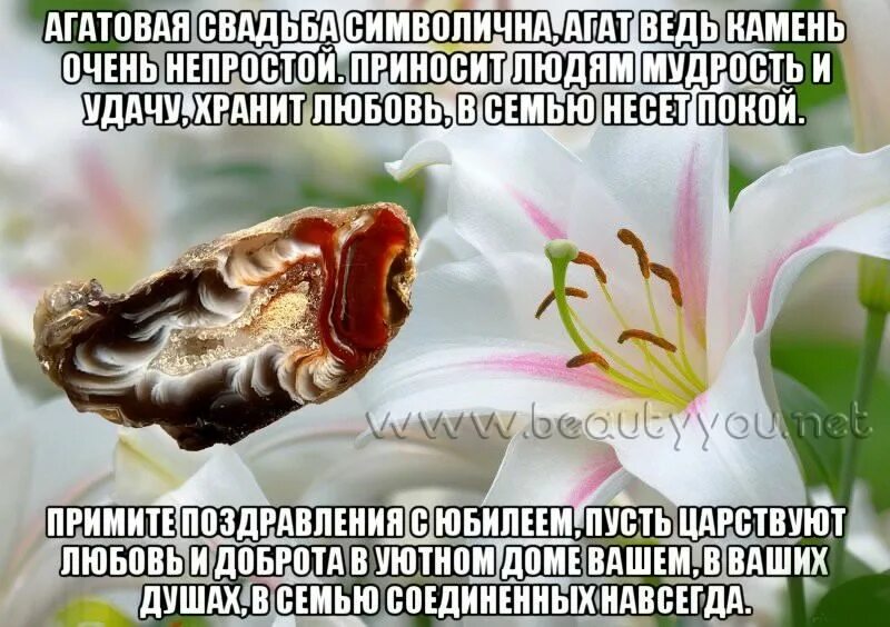 Картинка с годовщиной свадьбы 14 лет мужу Открытки открытки на 14 лет свадьбы агатовая свадьба поздравления с.