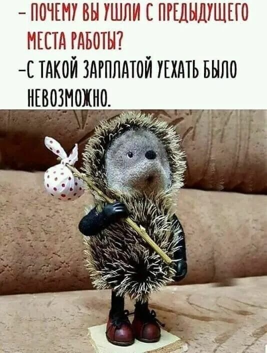 Картинка с новым рабочим днем прикольные Пин на доске ЮМОР в 2024 г Юмор о работе, Веселые картинки, Смешные открытки