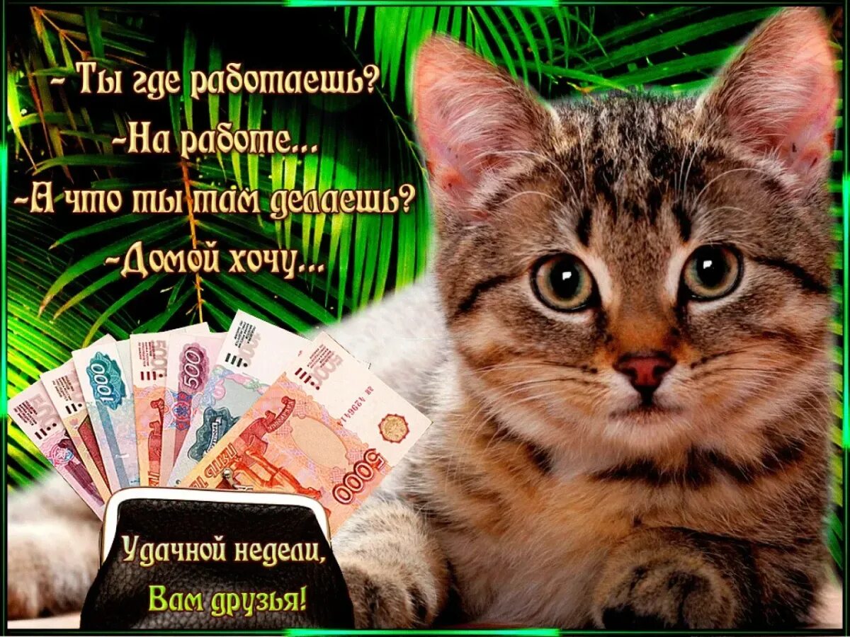 Картинка с новым рабочим днем прикольные Пожелания удачной недели: картинки и открытки 110 шт.