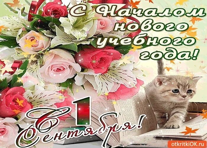 Картинка с новым учебным годом скачать Дорогие наши участники коллектива, от всей души поздравляем всех вас с началом н