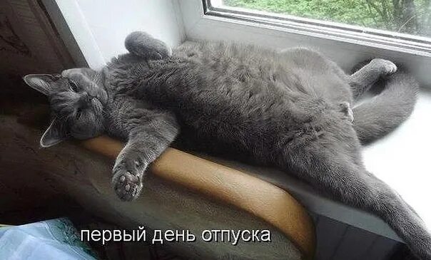 Картинка с первым днем отпуска прикольная женщине She went on vacation this month and then calls from friends and relatives begin,