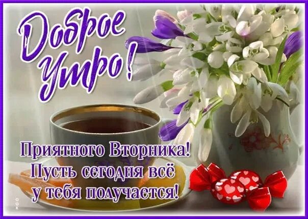 Картинка с пожеланием доброго утра первого Good Morning Tuesday #СССР #Вологодскаяобласть #Вологда #весна #доброеутро #добр