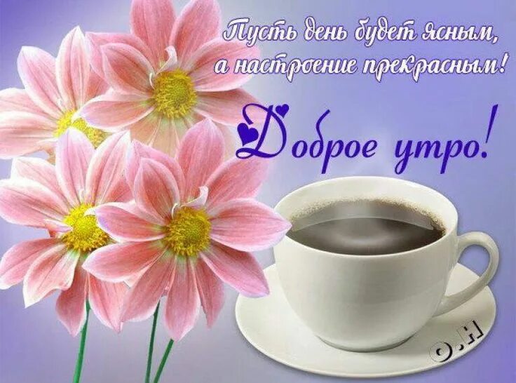 Картинка с пожеланием доброго утра первого Pin on Доброе утро Glassware, Tableware, Mugs