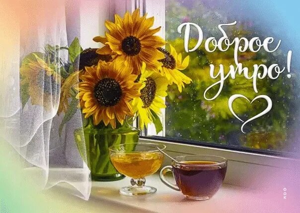 Картинка с пожеланием доброго утра первого ДОБРОГО ВОСКРЕСНОГО УТРА ВСЕМ!!! И СЧАСТЛИВОГО ДНЯ!!! Tags "#goodmorning @cayogl