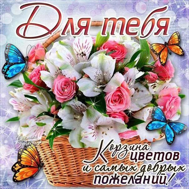 Картинка с пожеланиями девушке красивые Открытки с Добрым утром Пожелания картинки хорошего утра Романтическое утро аним