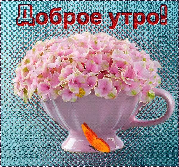 Картинка с пожеланиями самого доброго утра Доброе утро /Good morning - GIF АНИМАЦИЯ - Страна красоты Gif Доброе утро, Поздр